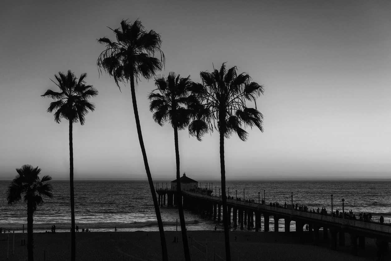 Palmtrees beach background